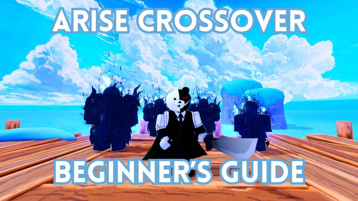 Ultimate Arise Crossover Beginner's Guide (bêta)